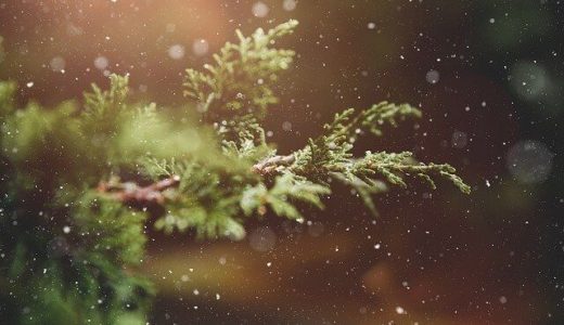本場イタリアのクリスマス