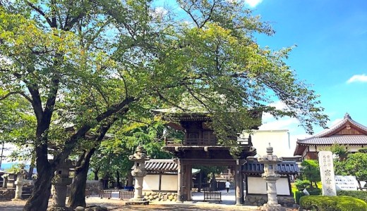 【高倉寺】入間市のオススメ隠れ家スポット紹介！